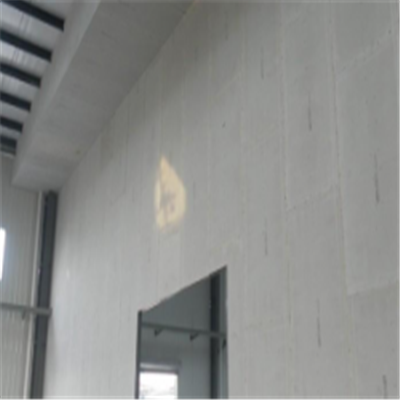 晋城新型建筑材料掺多种工业废渣的ALC|ACC|FPS模块板材轻质隔墙板